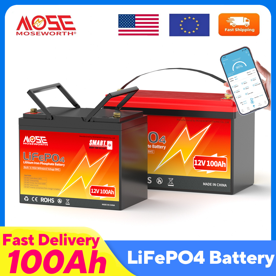 MOSEWORTH LiFePO4 12V 100Ah Ba - Lifepo4 12V 100Ah Bms Bluetooth 评论和价格