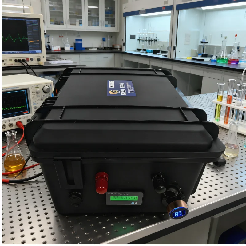 Lifepo4 Lithium Iron Phosphate - Lifepo4 12V 100Ah Bms Bluetooth 评论和价格